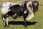 RCS_3066.JPG