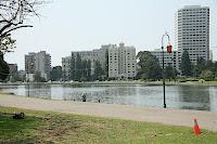 IMG_4378.JPG