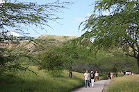 IMG_4875.JPG
