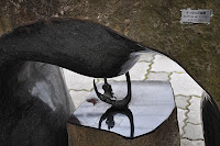 DSC_0124.JPG