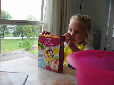  Prinsessencakjes