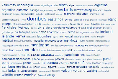 View my tags