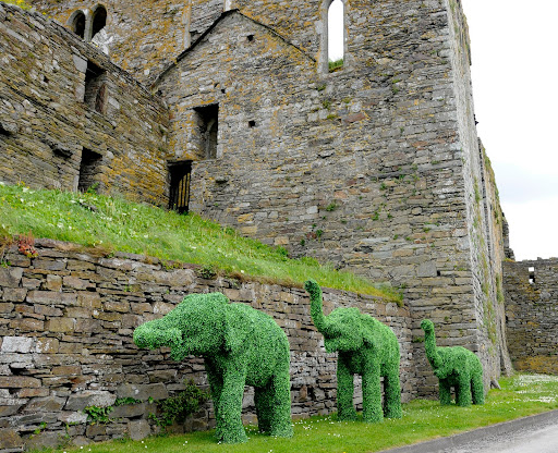 Elephants In Timoleague 1.jpg
