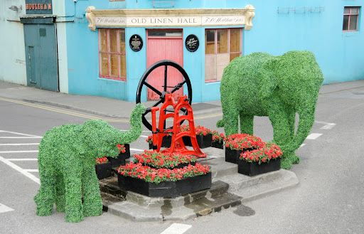 In Clon 12.jpg