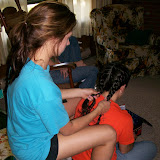 Cottage 2008