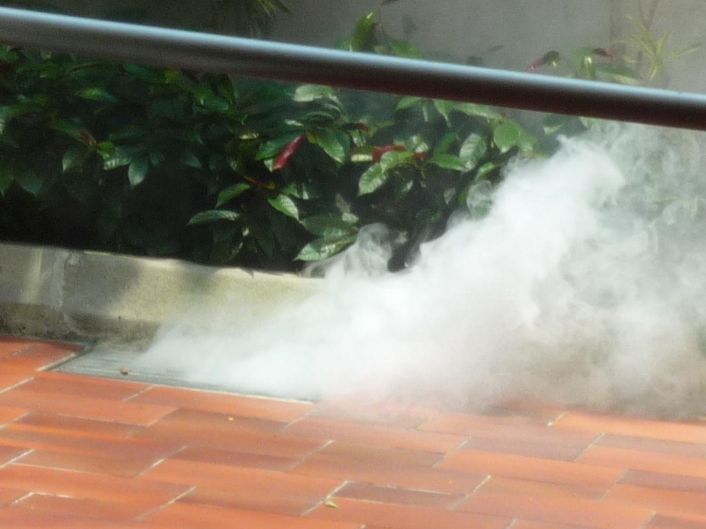 [Fumigation[3].jpg]