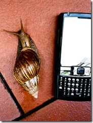 Snail Phone
