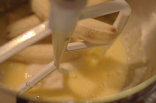 picture of yogurt and bananas blended in