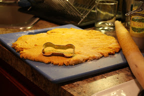 picture of doggy bone shaped cookie cutter used on dough