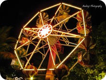 Ferris Wheel Ferris Wheel