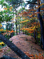 IMG_0066.JPG (Schönau, Rhineland-Palatinate, Germany) Photo