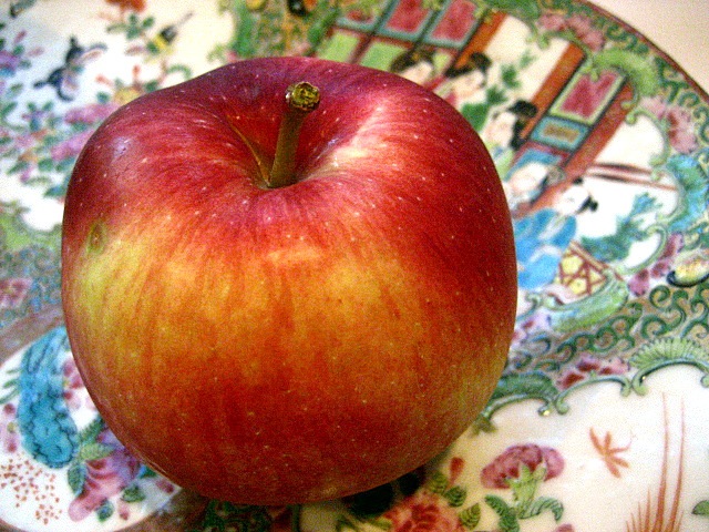 [apple custard[5].jpg]