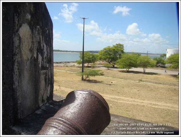 [DSC08515[2].jpg]