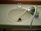 The head sink with shower wand. What a luxury.