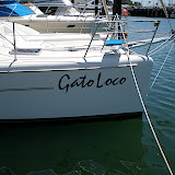 Gato Loco is the catamaran that I found a website on their travels from San Carlos to Puerto Penasco.