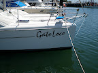 Gato Loco is the catamaran that I found a website on their travels from San Carlos to Puerto Penasco.