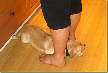 Cooking dinner in the kitchen with Vienna asleep between my legs.
