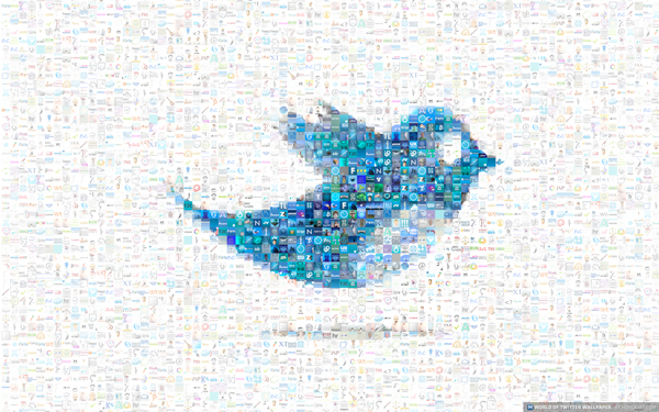 bluebird 1680x1050  Wallpapers Twitter