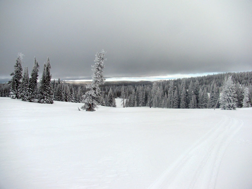 IMG_1642.JPG