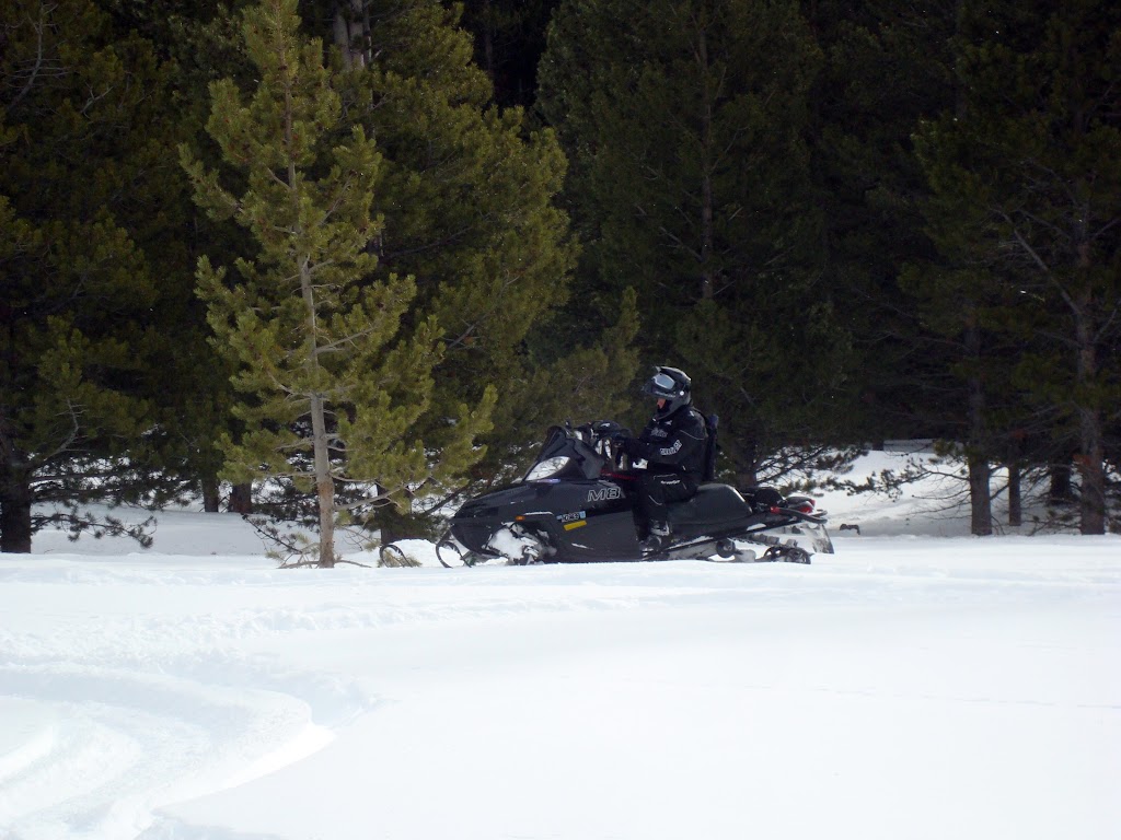 DSC08723.JPG