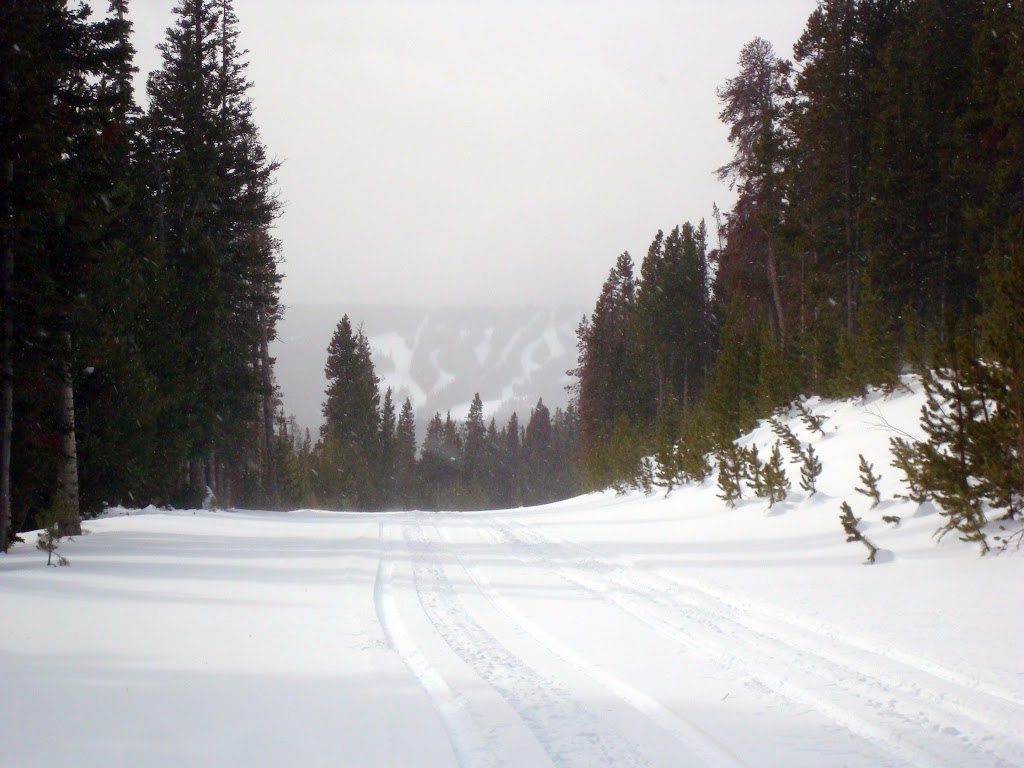 DSC08726.JPG