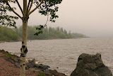 IMG_7299.JPG