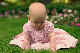 CRW_7339.JPG