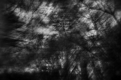 a-place-in-the-land-in-my-mind_02 1.jpg