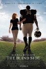 [TheBlindSide2009streamingrapidshared.jpg]