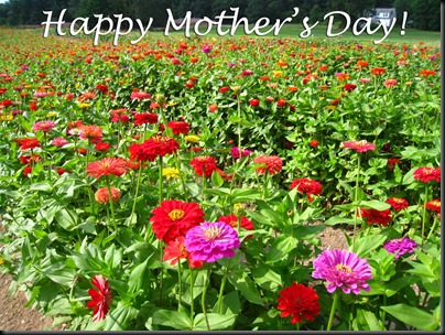 Mother's Day