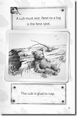 beehive cub