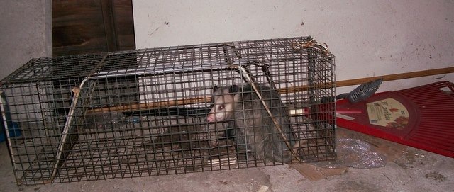 [100_1812[4].jpg]