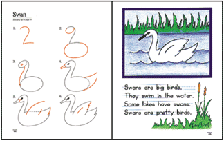 [bswan3.gif]