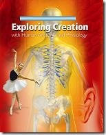anatomy