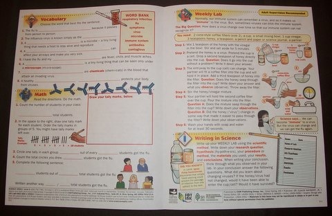 Homework hawk vocab workshop answers