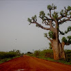 rundreise_senegal_16_20100518_1520774825.jpg