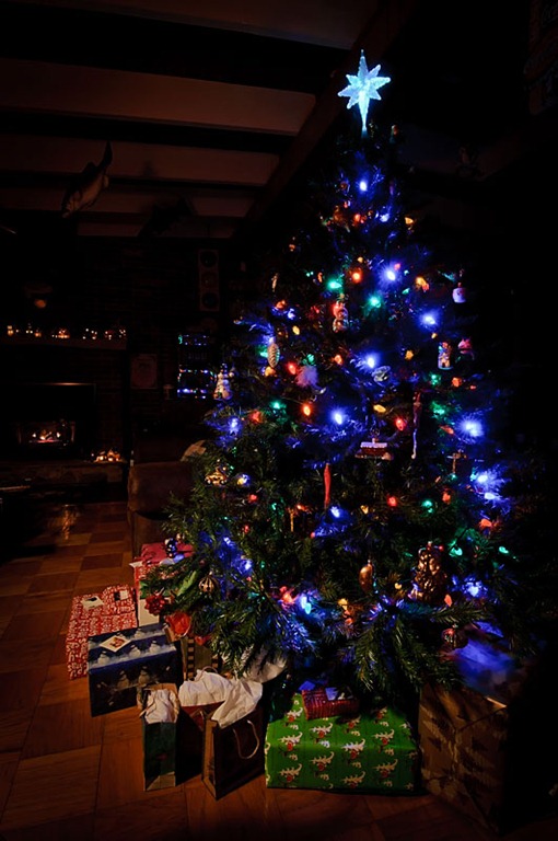 [Christmas_Tree[4].jpg]