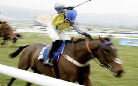 Cheltenham Festival 2010 day dual live