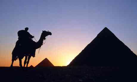 Camel and pyramid, Egypt