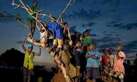 Children poise for a print up a tree at nightfall in Samuk village, Katine sub-county