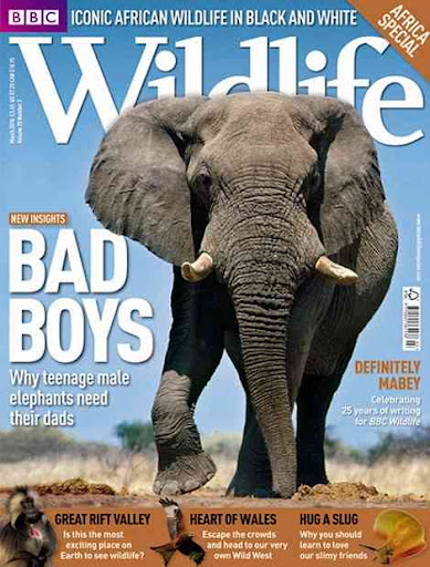 BBC Wildlife