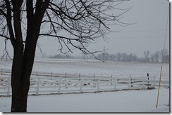 DSC_0203