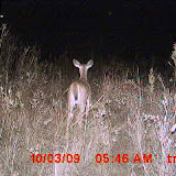 MDGC0053.JPG