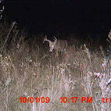 MDGC0010.JPG