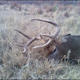 big 8 pt 2.jpeg