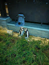 Altar for Penguin Gods