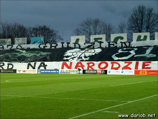 lechia.net