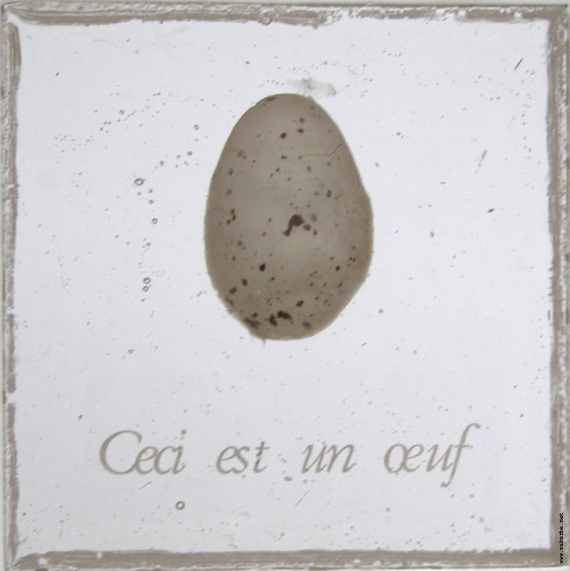 Tatiana Maltaverne: ceci est un oeuf