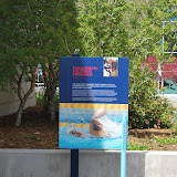 DSC_3671.JPG