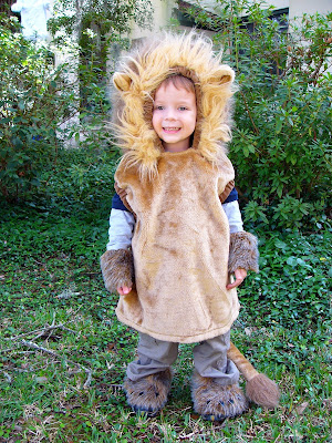 Our Little Lion